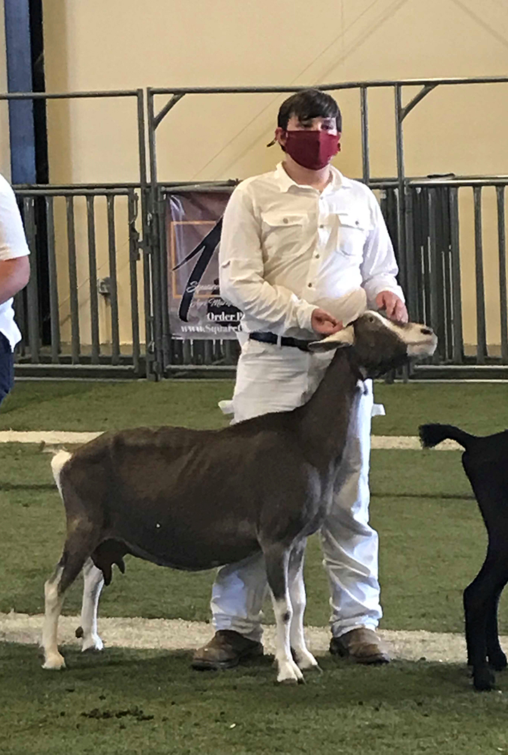 Youth North Carolina Dairy Goat Breeders Association