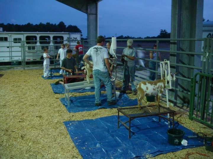 Youth North Carolina Dairy Goat Breeders Association